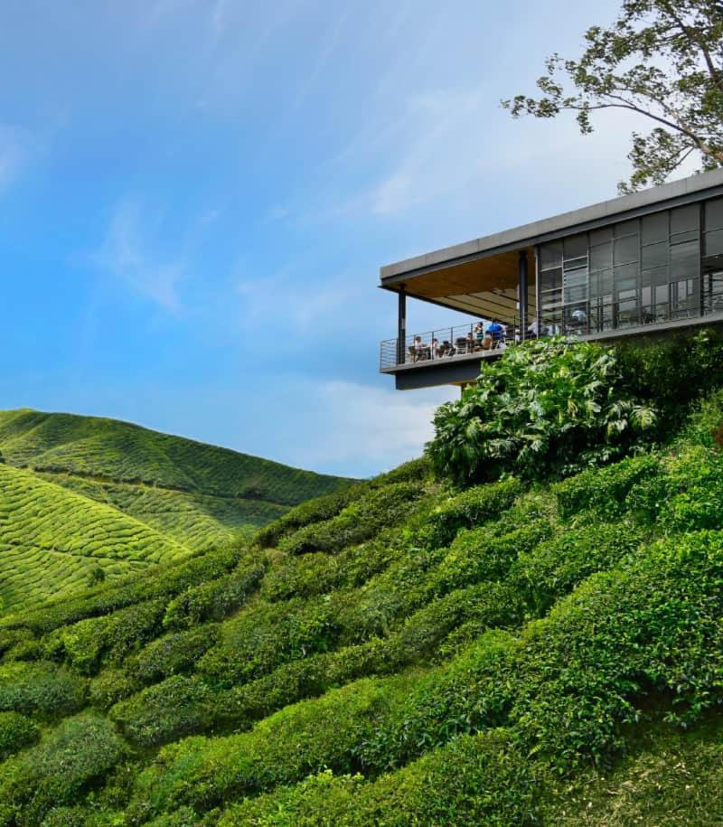 Myuko Homestay Brinchang Dış mekan fotoğraf
